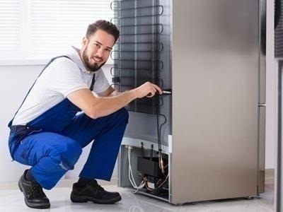 اصلاح بوش بالغربية